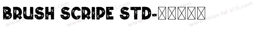 Brush Scripe Std字体转换